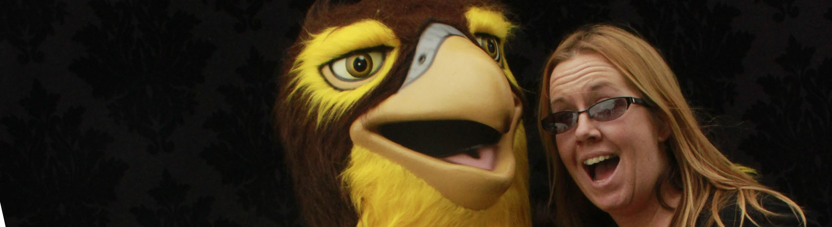 Fairgrove Falcon Fest 2015